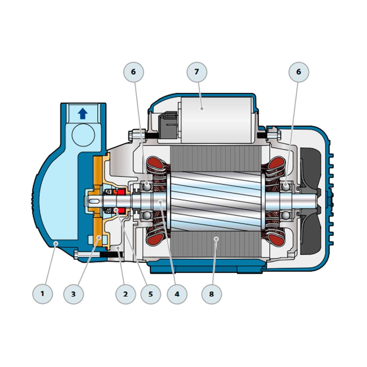 Electrobomba Pedrollo | Autocebante | Hierro | 110-220 Vac | 1 Hp | SxD 1"- 1" | Monofásica | 37 MCA / 5.2 GPM | 1-5-49 CKm 90 | - Vista 3
