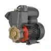 Equipo Hidroneumático Leo Pump | Electrobomba Autocebante - Periférica | 0,75 Hp | 110 V | Monofásico | 2 Lts | SxD 1" x 1" | 22 MCA / 6,3 GPM | LG0180 | LKSM550A