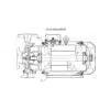 Electrobomba Ebara | Centrífuga | 20 Hp | 220/440 Vac | Trifásica | Hierro Fundido | SxD 3" x 2½" | 36 MCA / 490 GPM | 3D/M 65-160/156 | 300200262 - Imagen 3